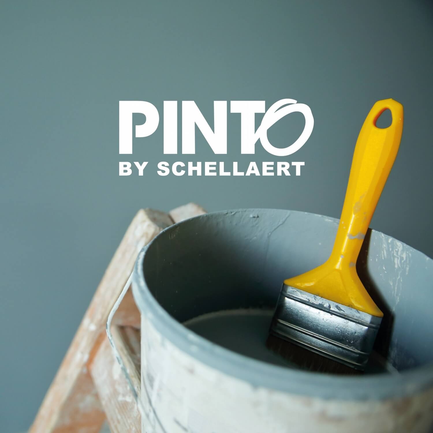 Pinto by Schellaert