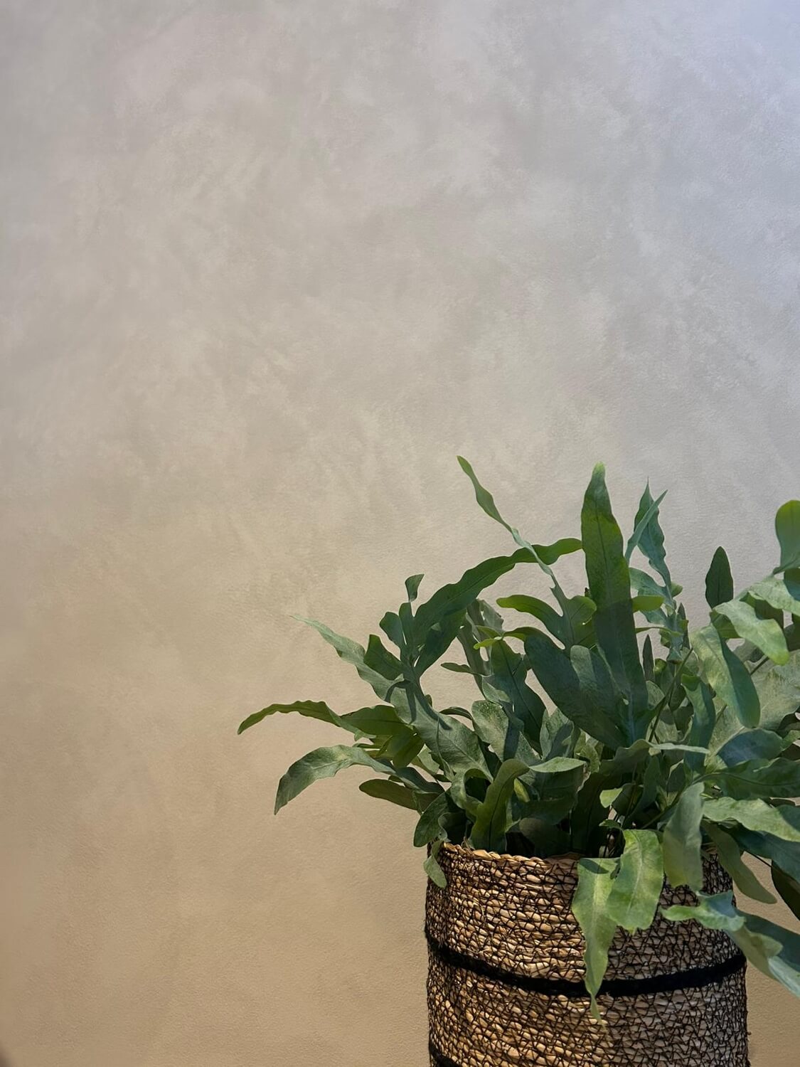 Viero Decoratives in de spotlights: Ontdek de magie van Ghibli 